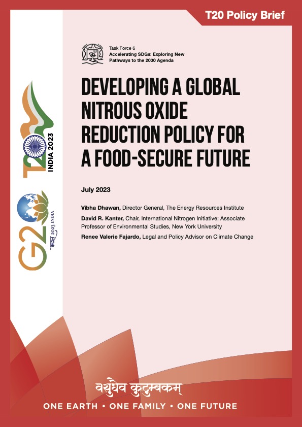 Stopping a Super-Pollutant: N2O Emissions Abatement from Global